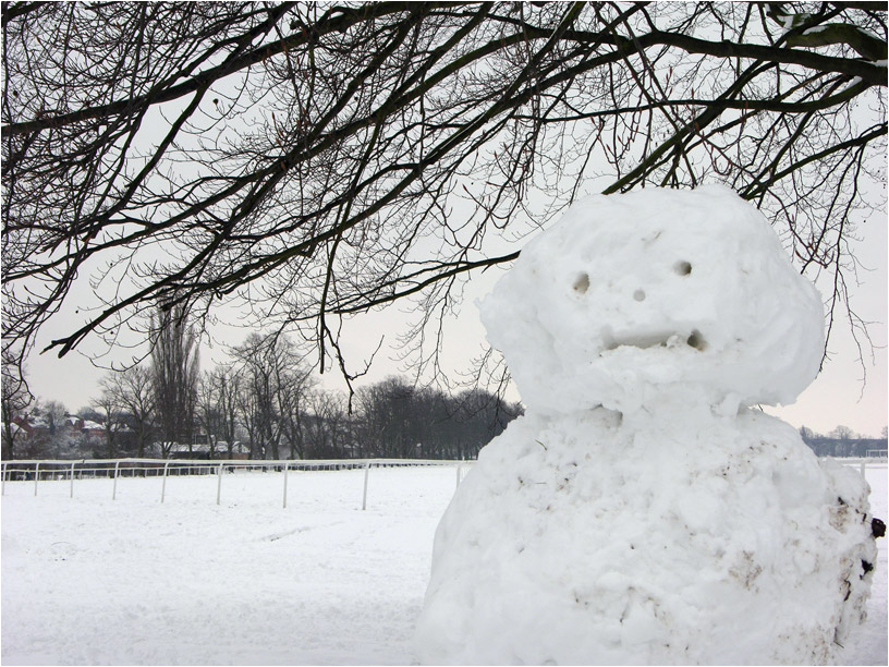 worcester-snow-6.jpg