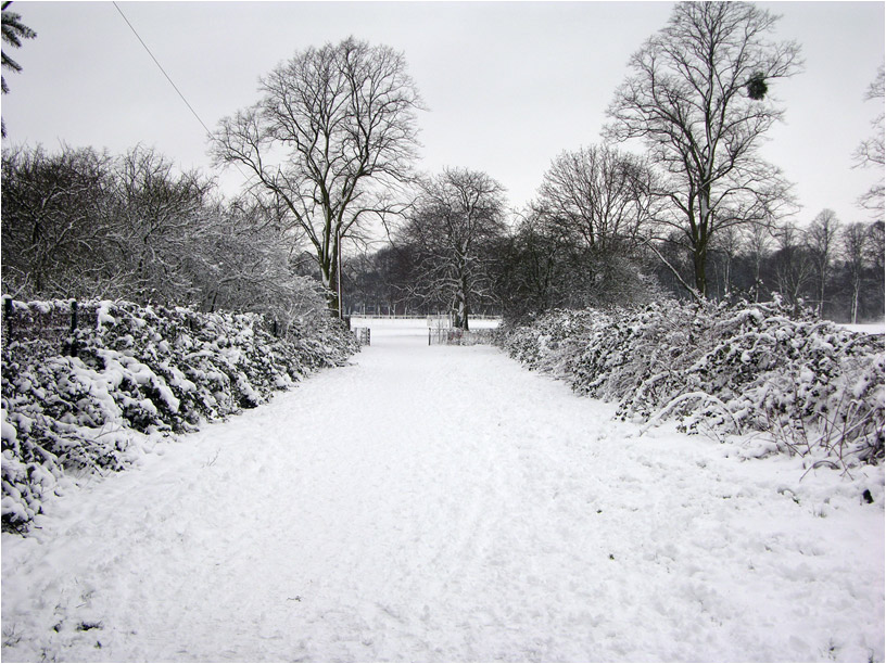 worcester-snow.jpg